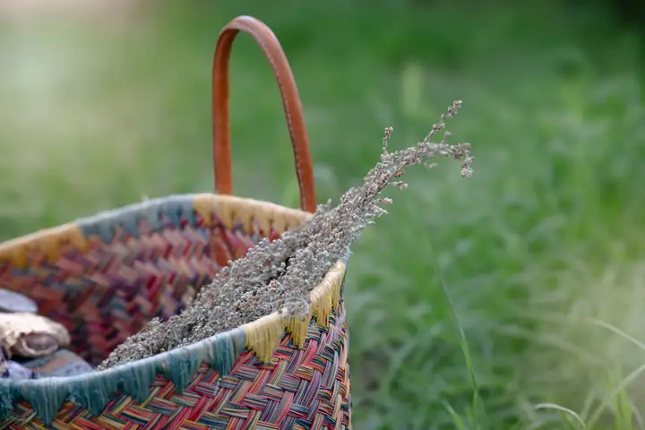 Bunter Flechtkorb mit getrockneten Kräutern auf der Wiese